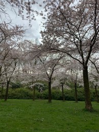 JJGT7OZnRYOBQgALKlp73Q